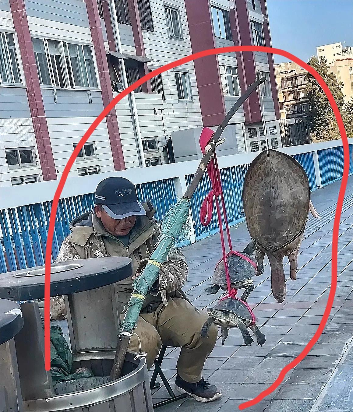 最近网红为了拆穿“路边卖王八”的套路，直接冲上去问要不要买，搞得人家大爷都尴尬语