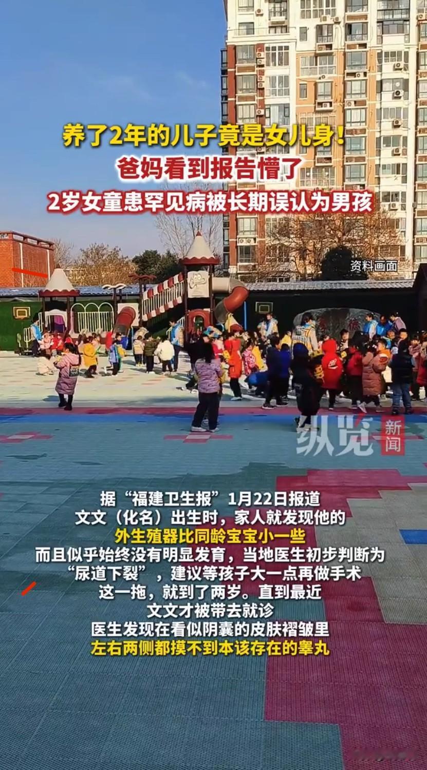 福建的文文爸妈这段时间既心疼又懵圈，自家养了整整两年的“儿子”，到头来居然是个小