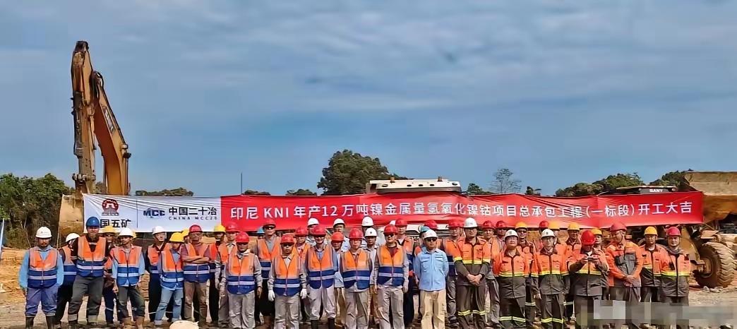 印尼这波操作真的太坑了。当初为吸引外资，对新能源、电动汽车等行业承诺外资能100