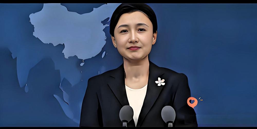 财政自用，
防务由大陆承担！

本是最大的诚意，结果却捅了马蜂窝。
评论区里的一