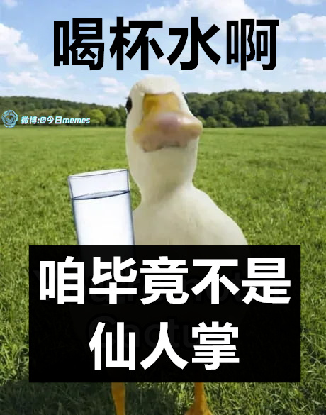 没必要啊（9gag）今日meme[超话]今日memes ​​​