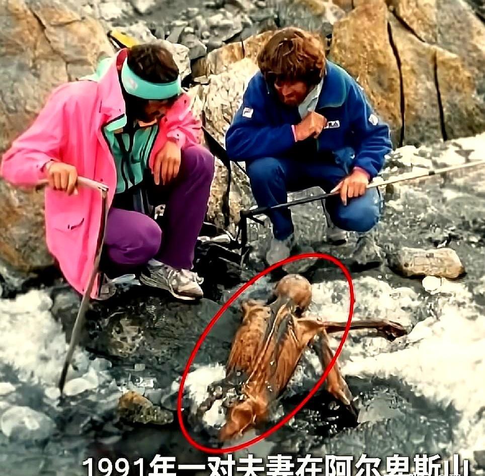 1991年，阿尔卑斯山上突然冒出一具“冰封人”，地点就在奥地利和意大利交界那一带