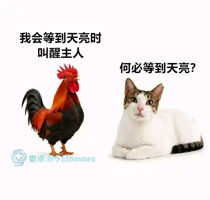 看我的（9gag）今日meme今日memes