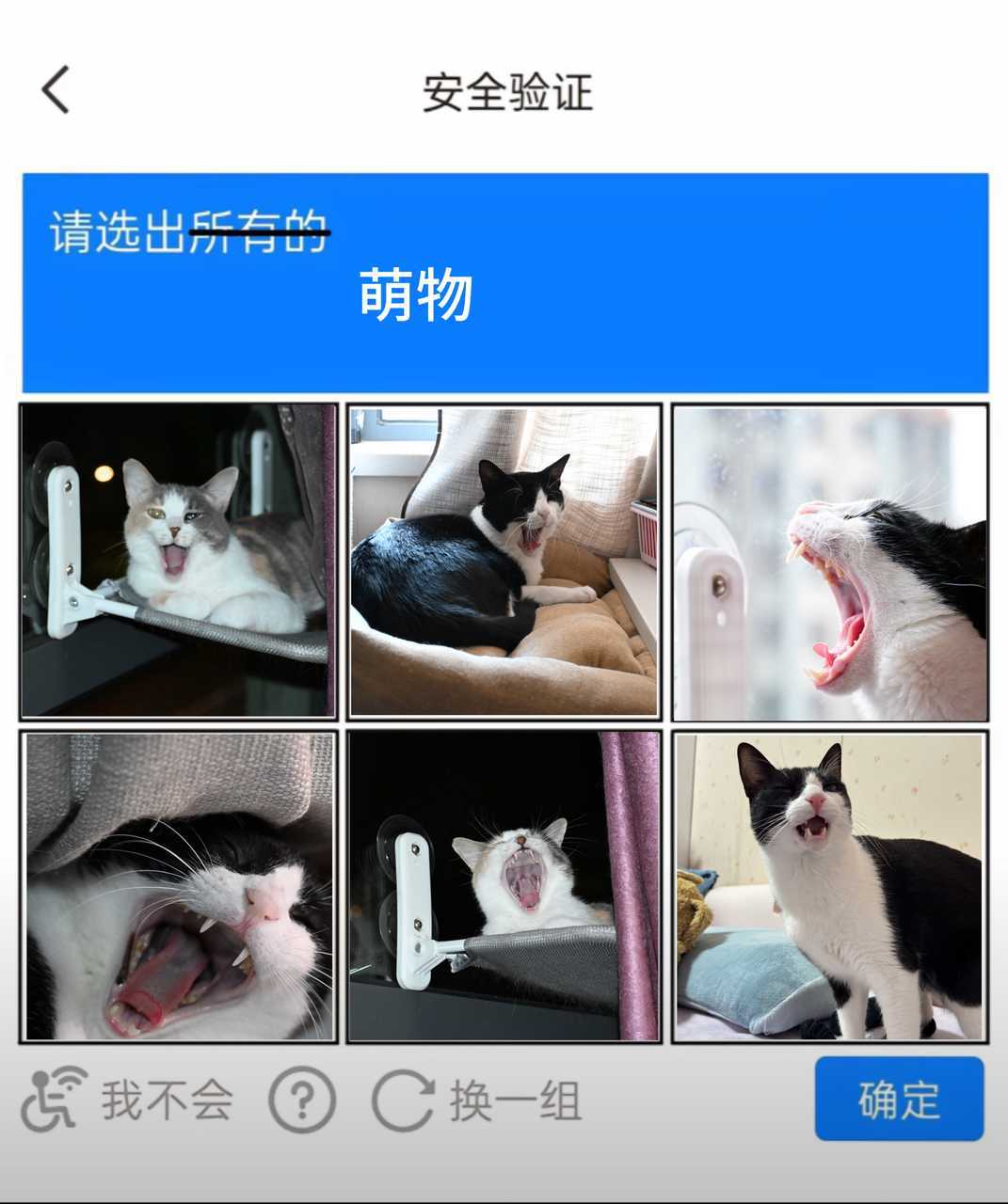 请选出：奶meme （投稿：） 