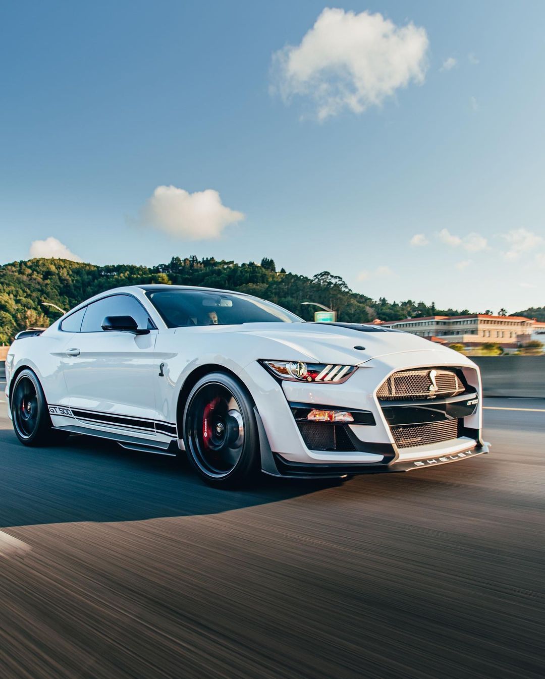 一匹野马GT500 [赞] 