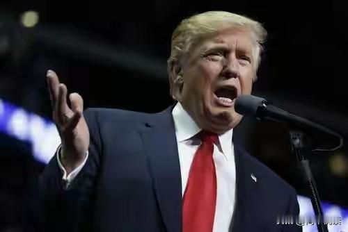 特朗普把万斯踢出谈判？真相比“背锅”更扎心

特朗普刚说完“万斯不去谈判”，白宫