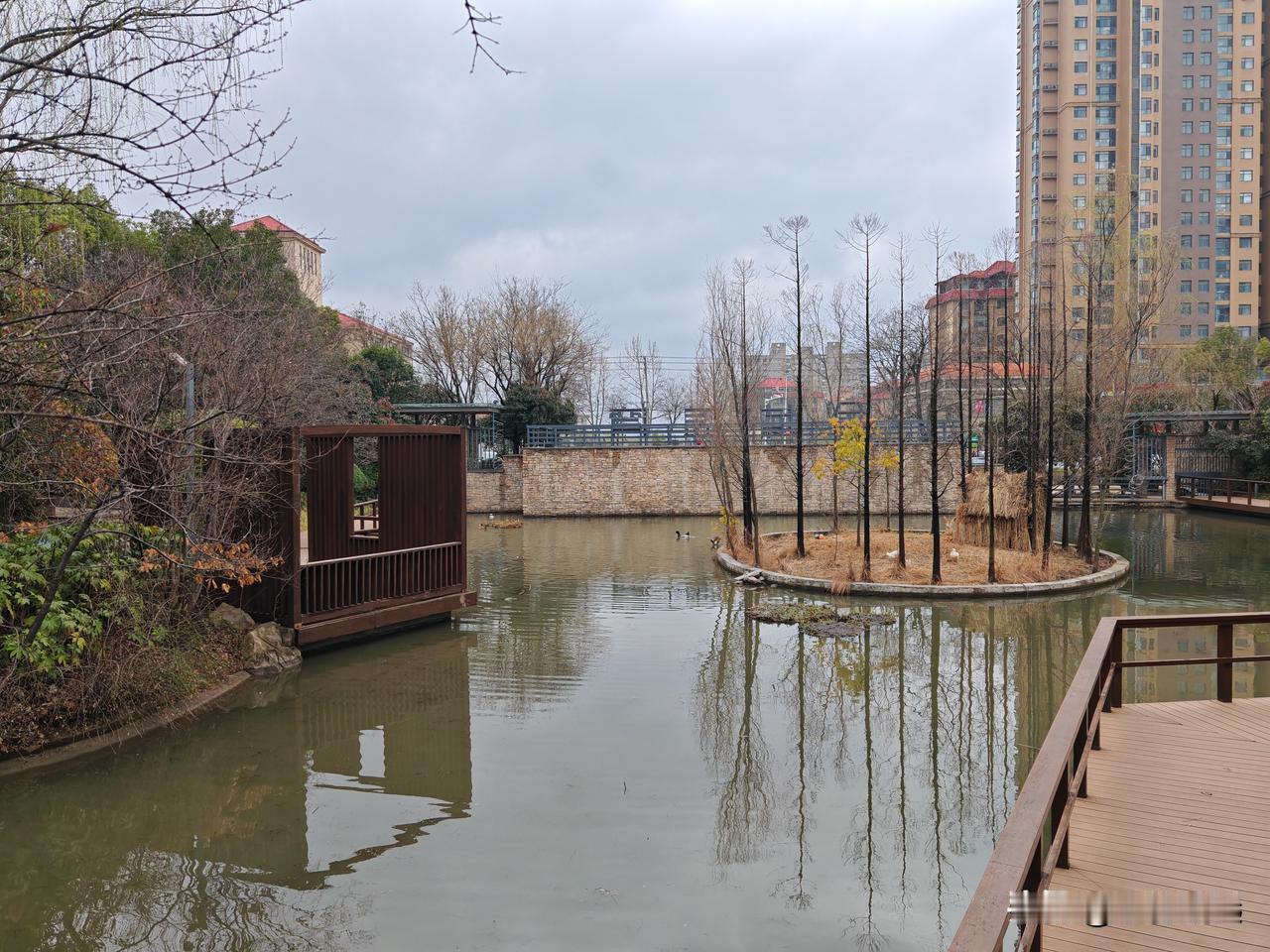 楼下这小池塘，藏着冬天的温柔
 
今天下楼散步，才发现小区里的池塘这么治愈。
 