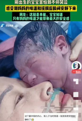 “解释不清了！”近日，突然离开妈妈的身体，小家伙显然被吓坏了，不停的哭泣，小胳膊