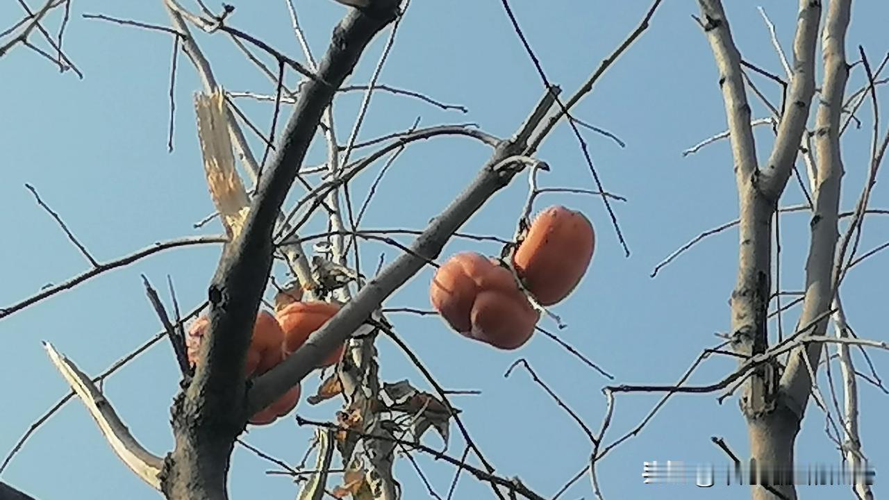 #记录我的2024#
啥时候实现万粉目标？
友友们，让我们一起加油吧！