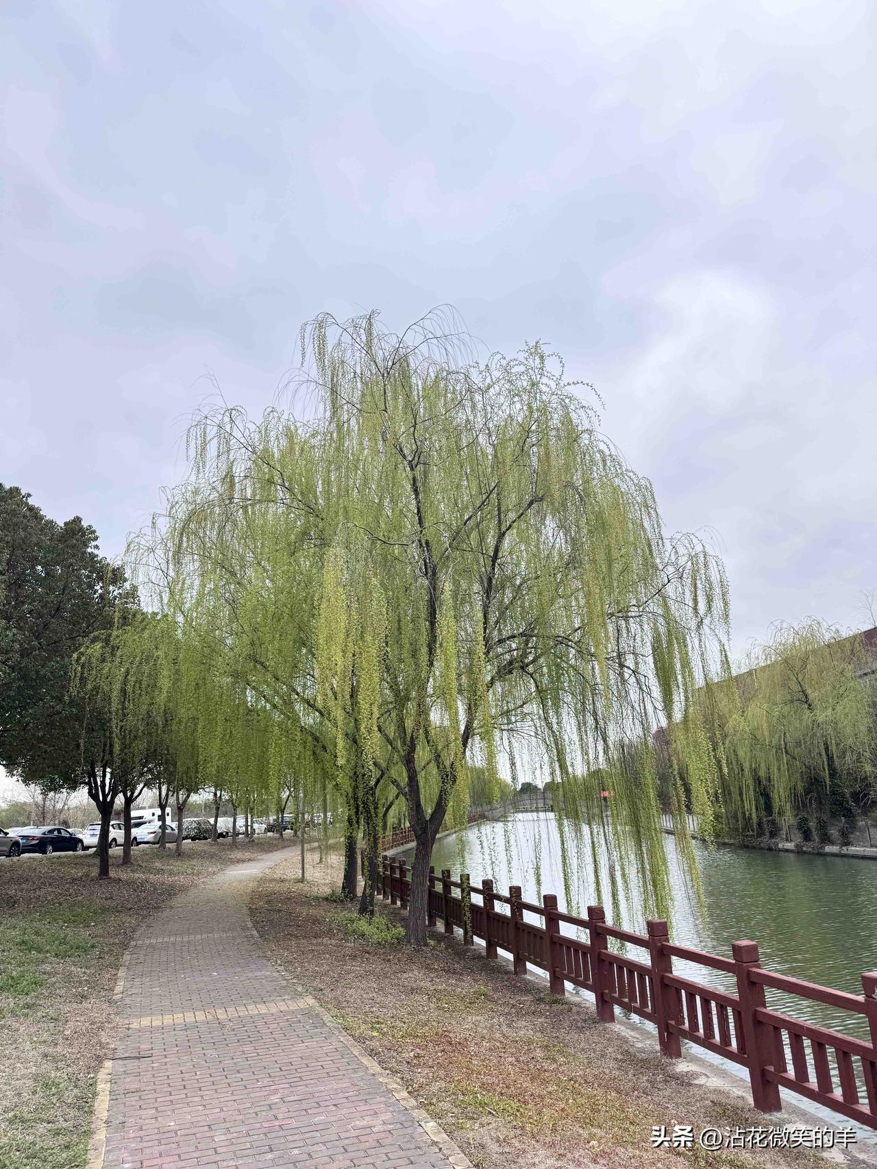 刷到一个头条玩家，千字阅读单价16块多！

真是破防了，原来自己这么差！

进入