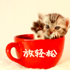早上好，宝宝老师们，昨晚大家都辛苦了，有些宝宝老师可能容易内耗，老爸说过耳朵会选