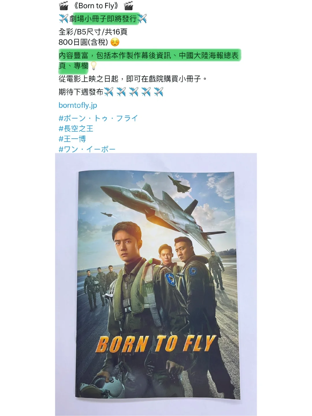 日本發行你們有完沒完！😂《長空之王》小冊子