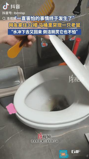 “一直担心的事发生了！”江苏，家住32楼的女子上厕所时，吓了一大跳，马桶里居然有