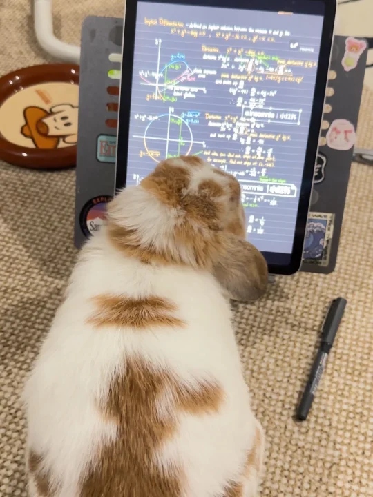万教授 高等数学开课🎓