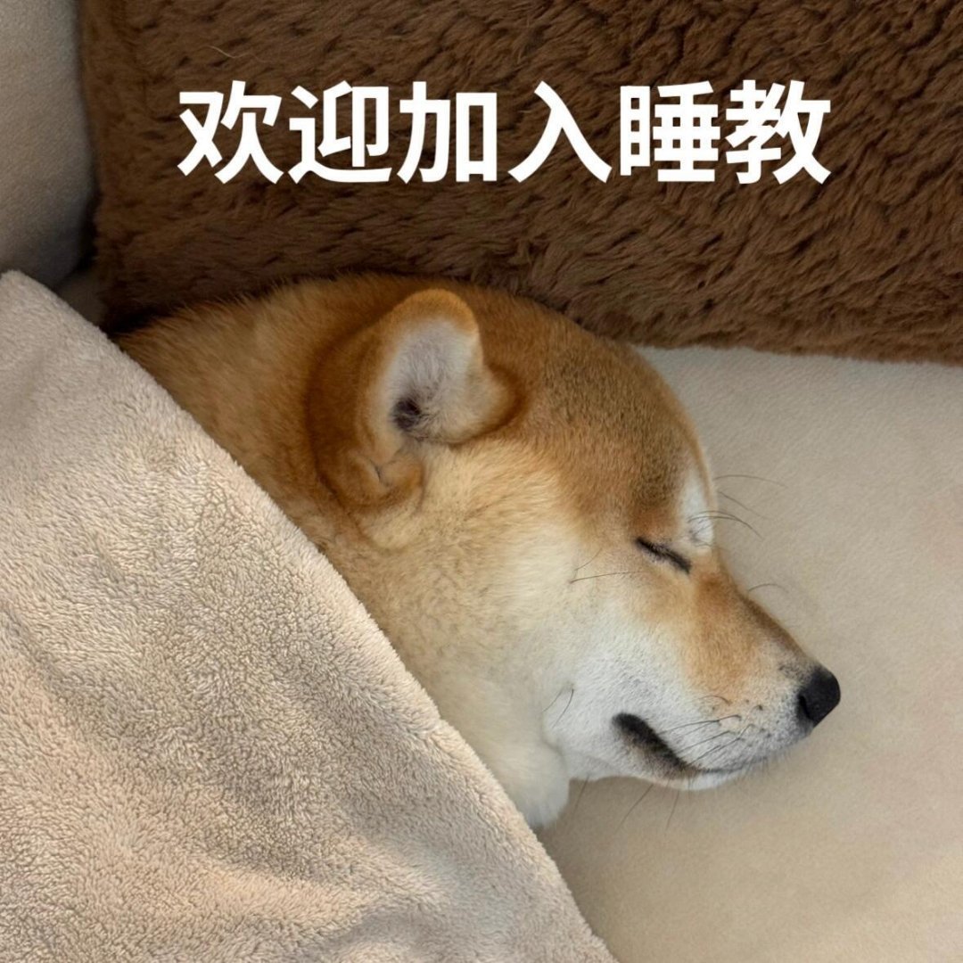 网友称狗腿付才是真接地气狗腿付只是网友趣味戏称，不用当真，但能真切感受到大众对于