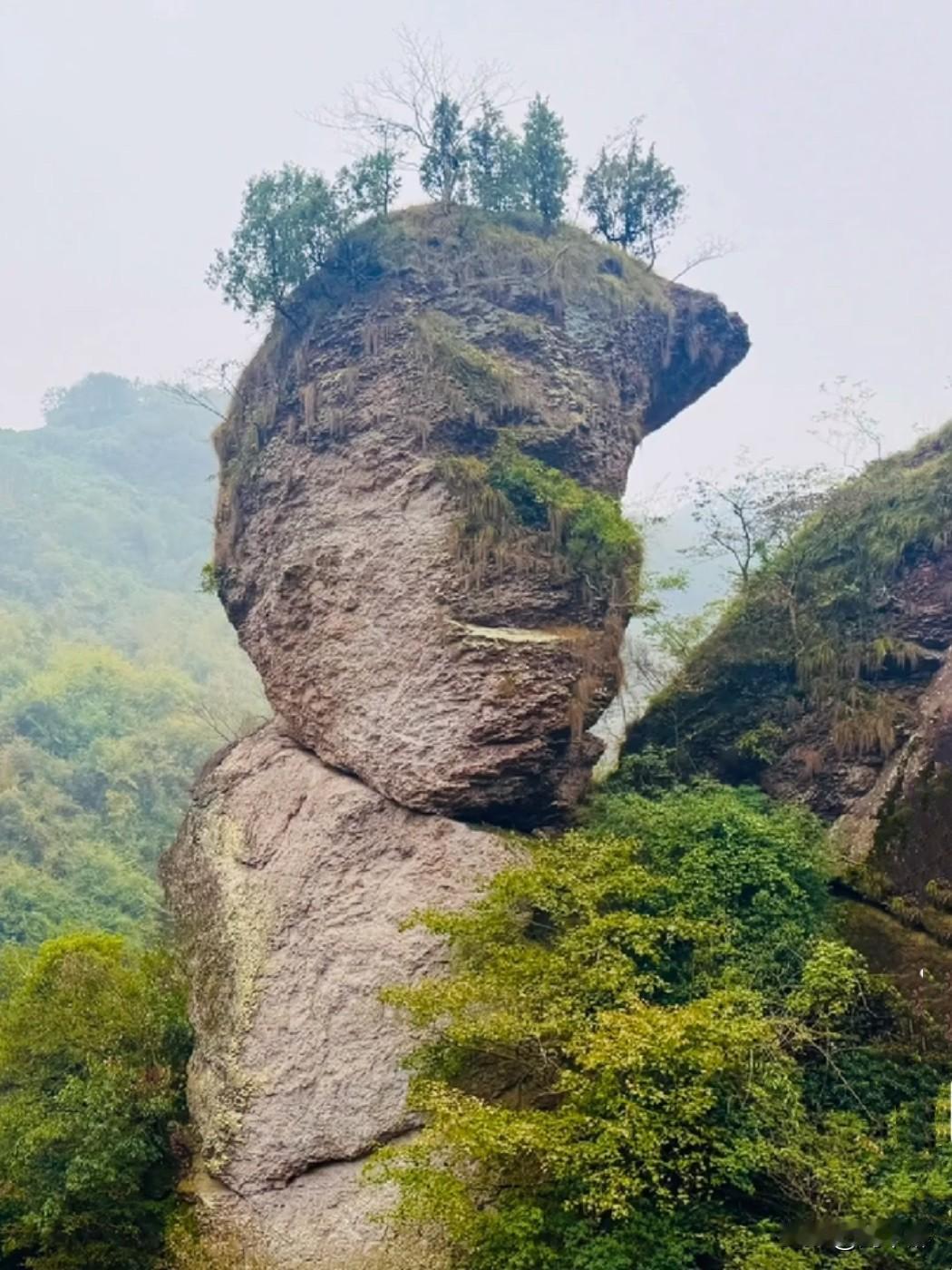 看看，像哪位名人？