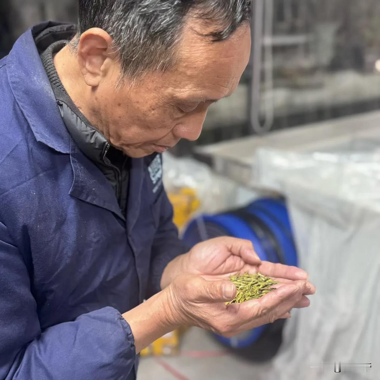 当最后一抹锅气散去

明前西湖龙井便带着茶山的朝露

落在了匠人的掌心

一芽一