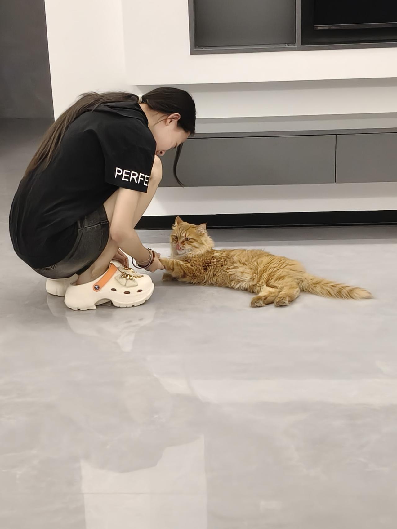 要说萌宠互动的温馨时刻，我家那只猫咪可是给了我不少难忘瞬间。有次我下班累瘫在沙发