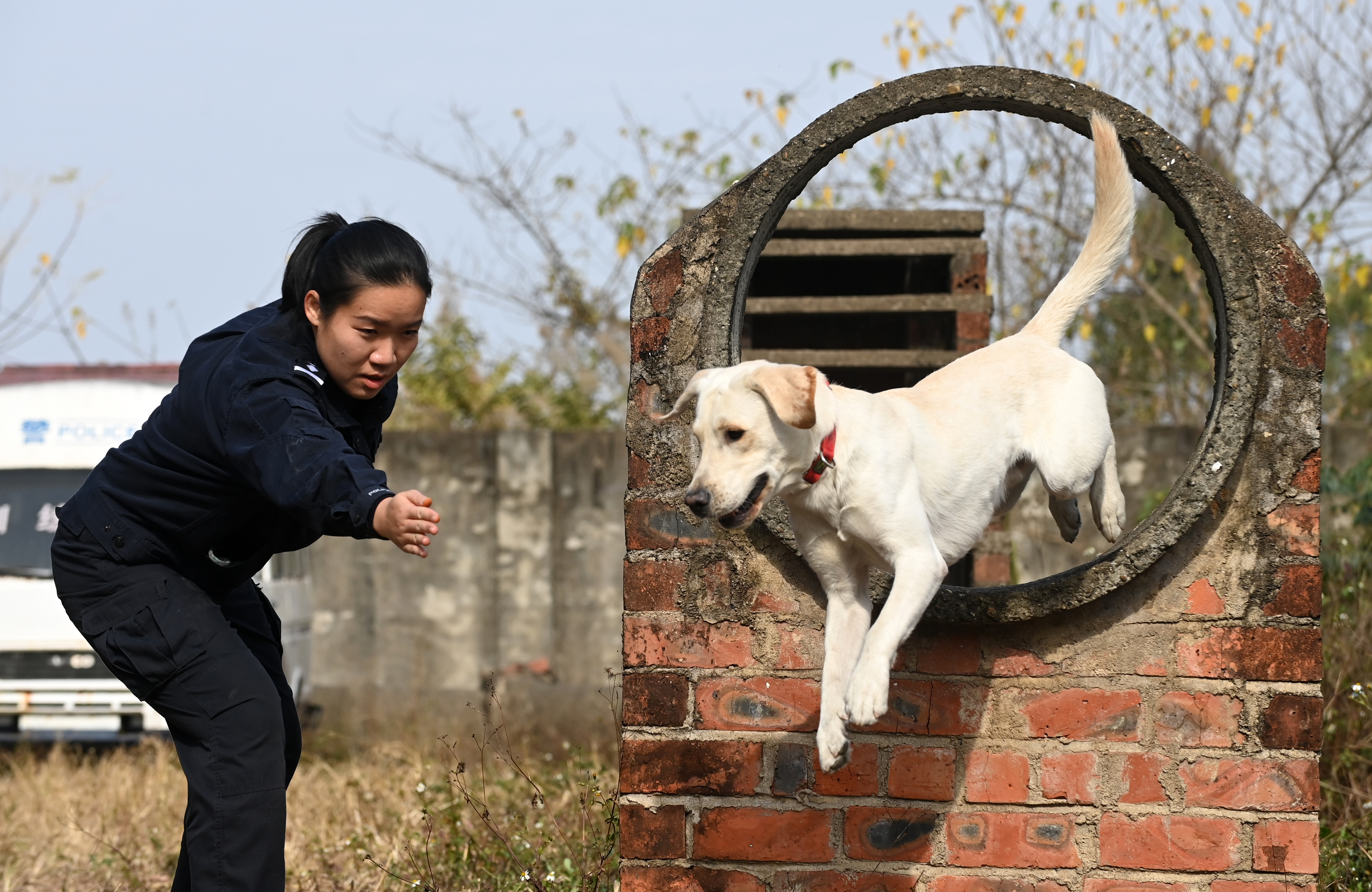 一名“90后”警犬训导员的警察节