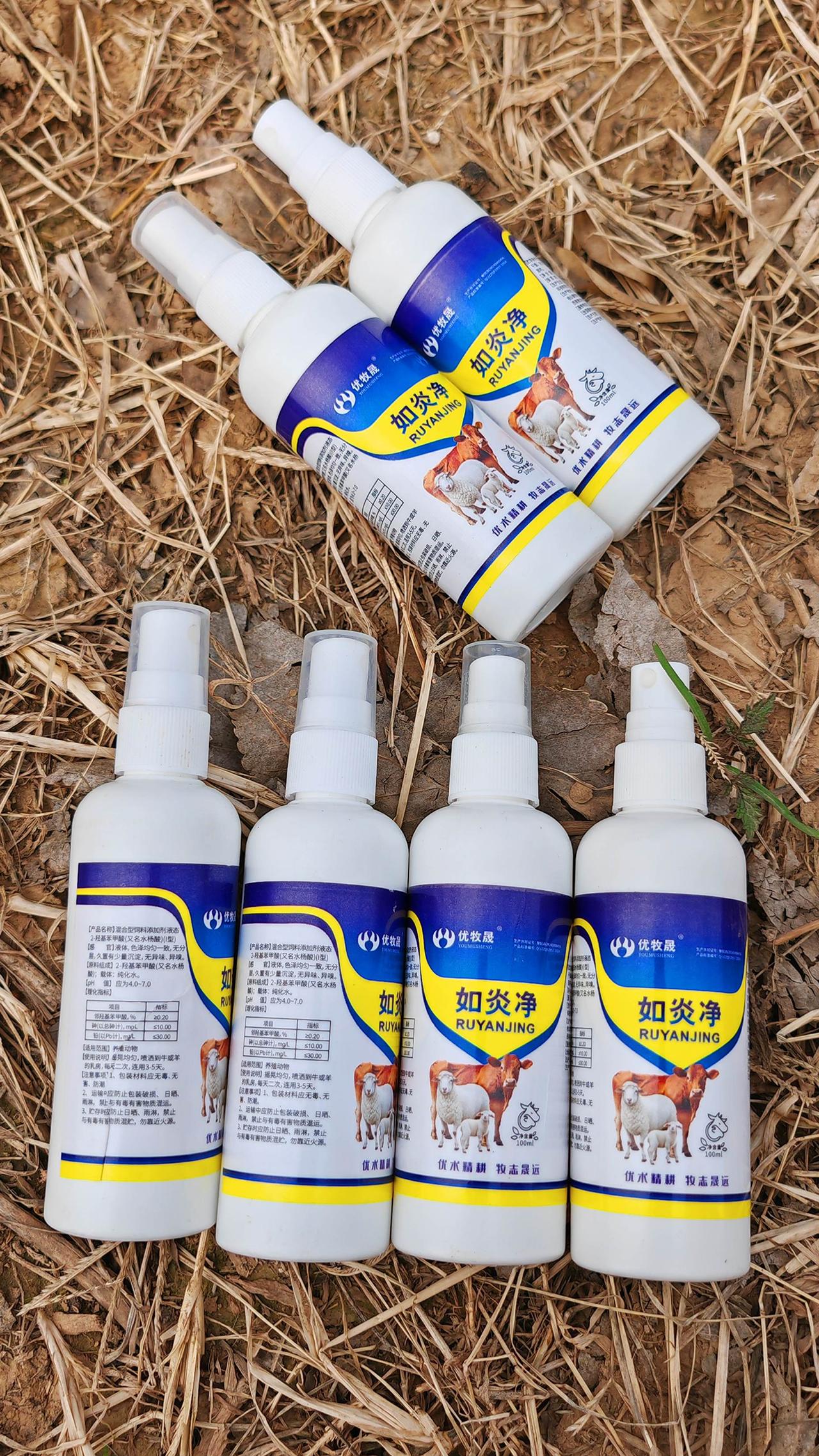 养羊人 农村养羊 牛羊养殖