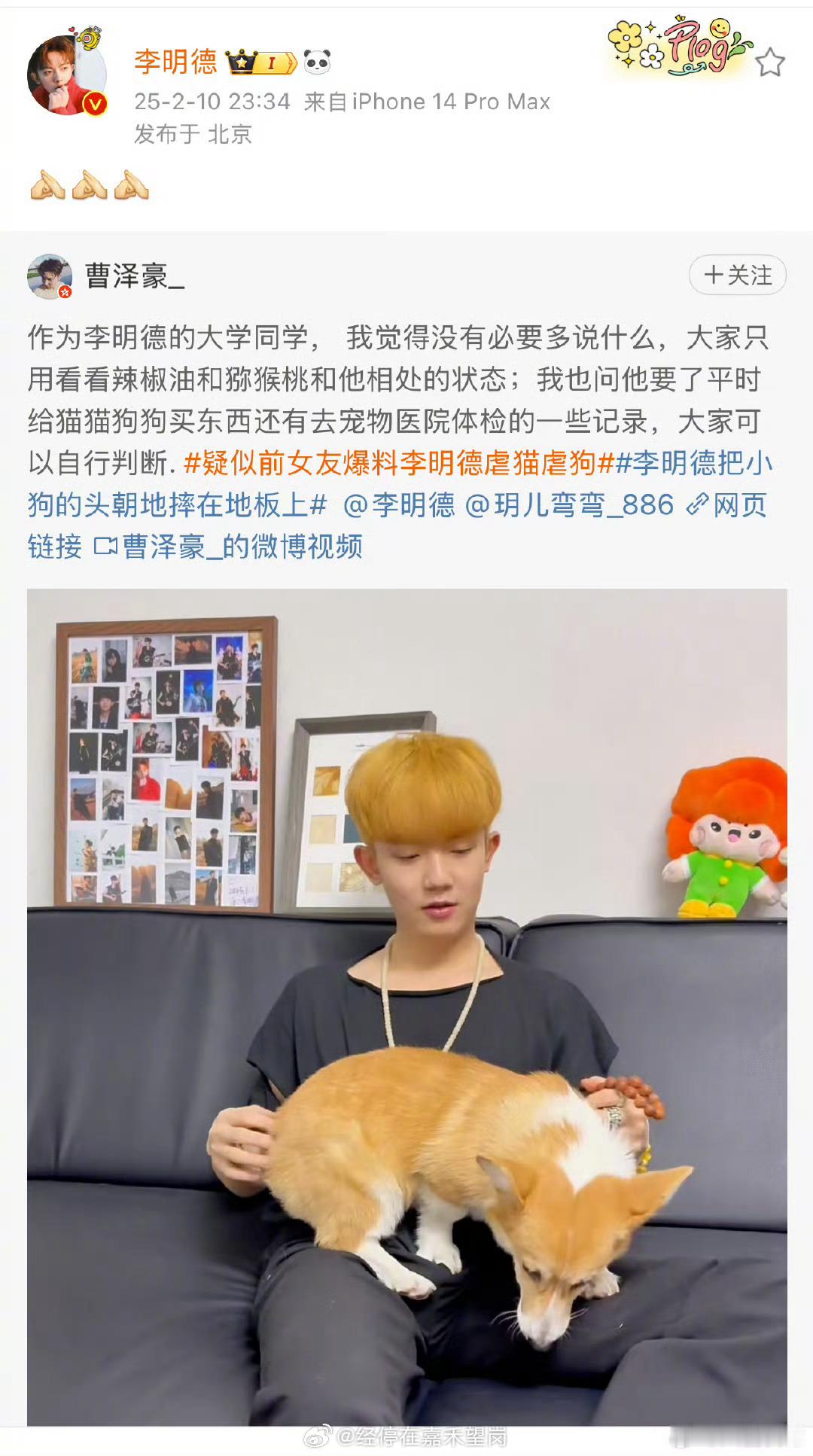 李明德回应虐猫虐狗指控  他怎么突然不自己说了 