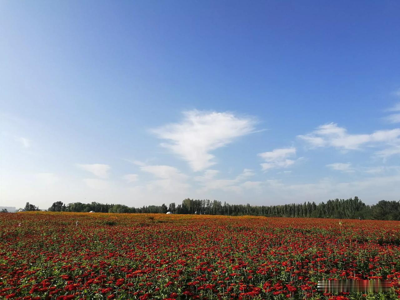 炒股日常：做T降成本
今天早盘，板块和大盘环境都不太好，可是我的持仓股却逆势上涨