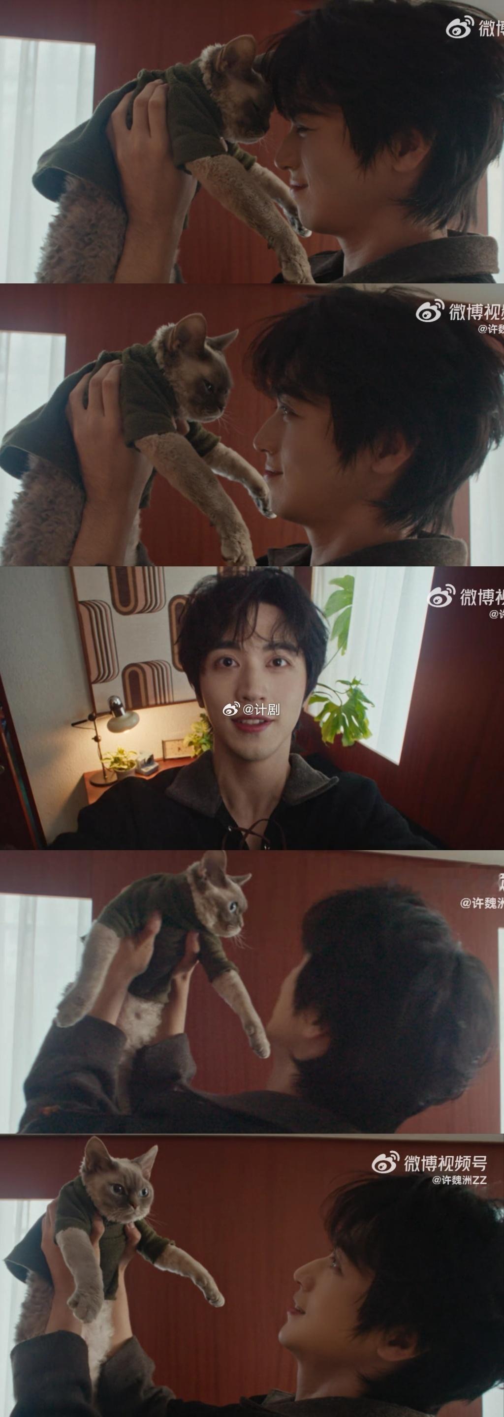 许魏洲给猫拍了支MV MV里的互动自然又可爱，能看出他是真心喜欢小动物。之前还常