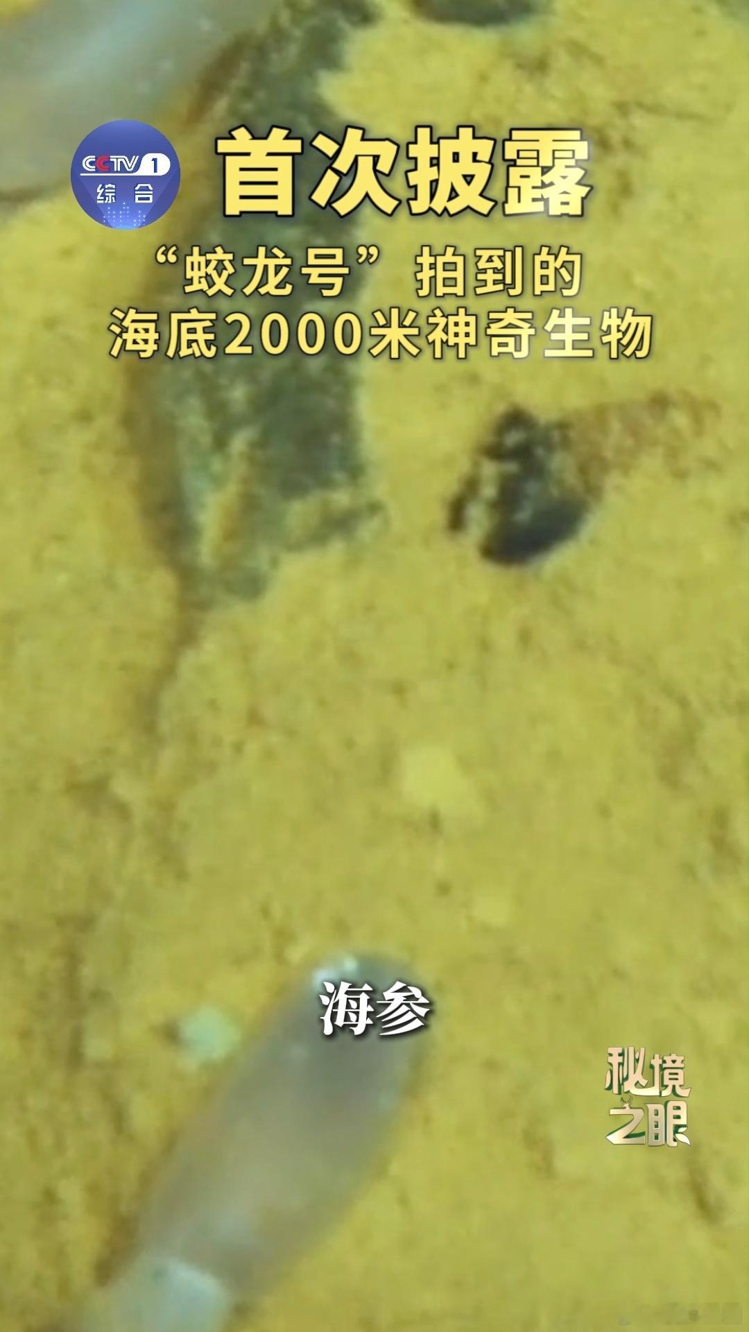 蛟龙号在海底2000米看到了啥 沉浸式体验蛟龙号2000米深潜之旅，沉浸式感受深