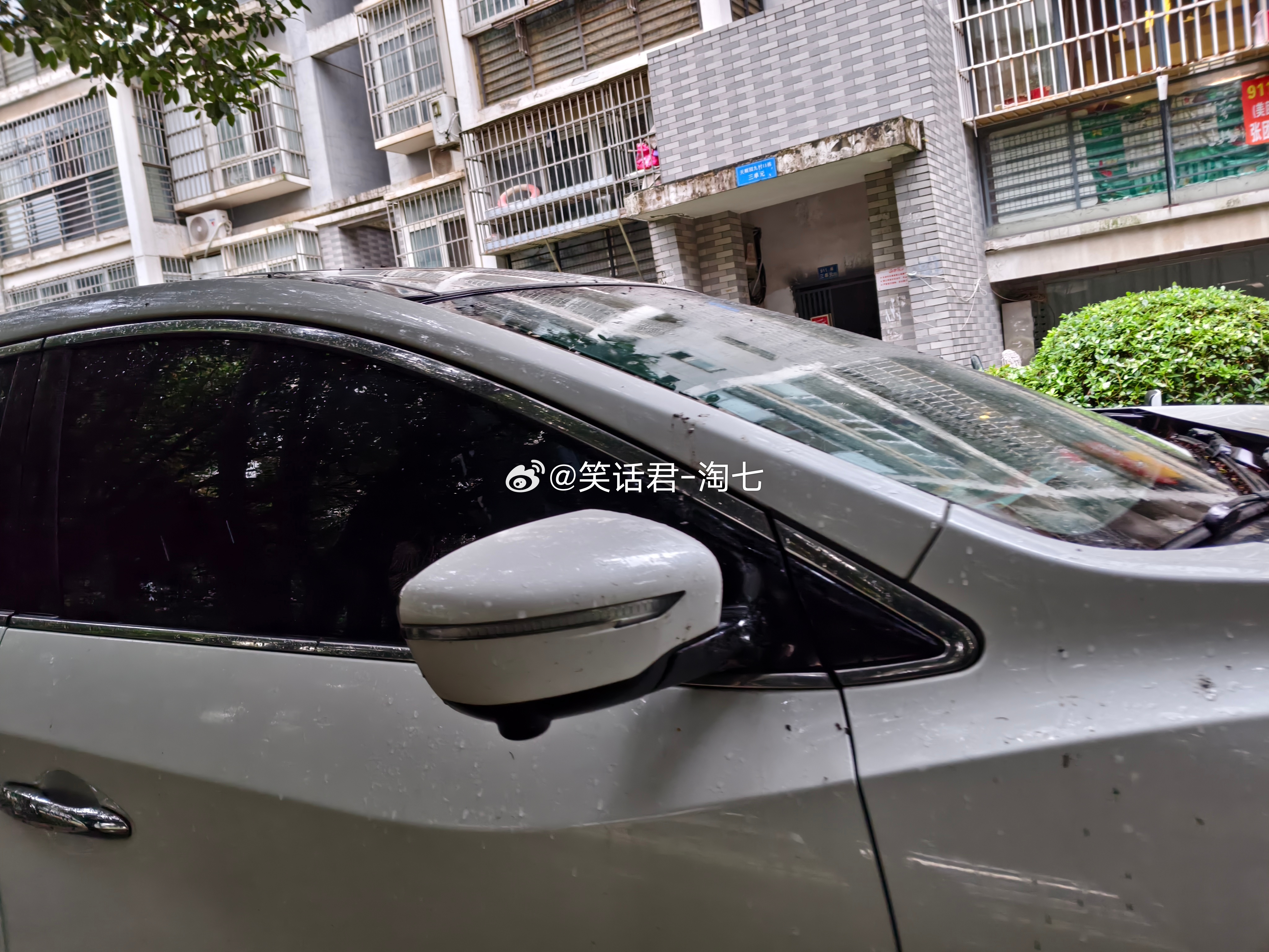 为什么鸡要去参加动物界表彰大会？因为它在“鸡界跨栏大赛”中——过（咯咯）哒！ 每