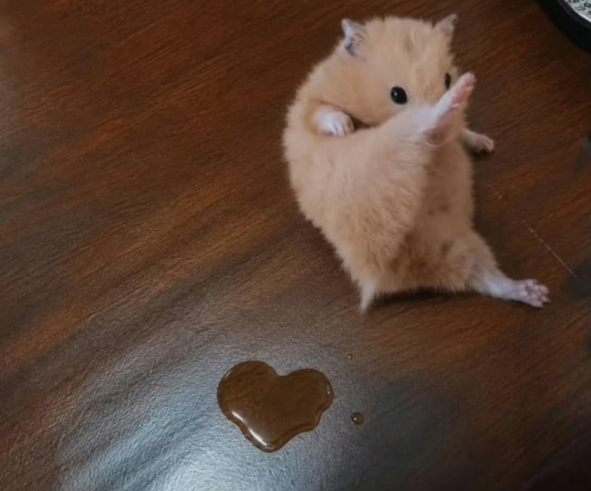 💖 