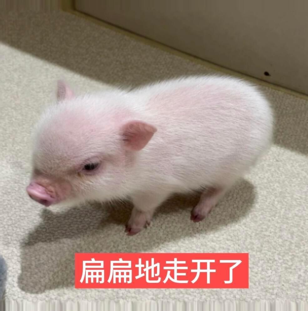 为什么我上学的时候没有中秋国庆连放13天这种好事 ​​​