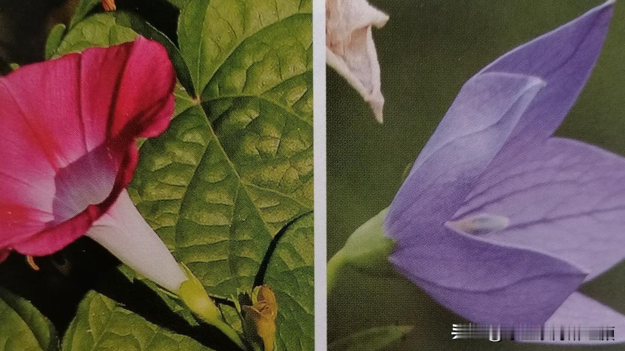 毁灭了他类，毁同类；毁灭了同类毁自己。地球上某些人正在以前所未有的速度朝着自掘坟