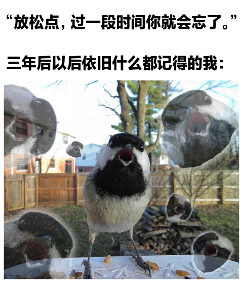 啊啊啊啊啊#meme# ​​​