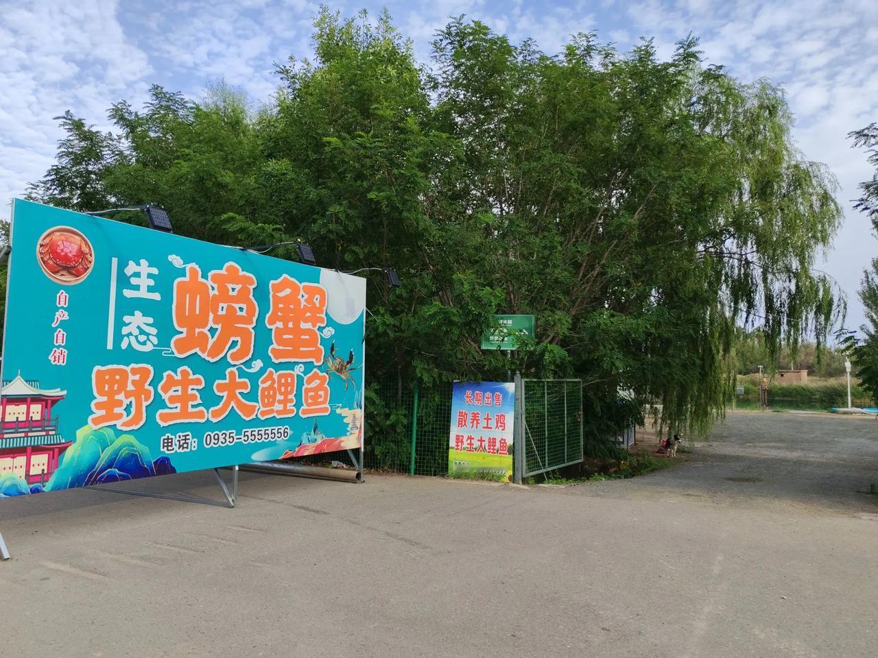 夜里鸭声件孤独

三棵樱桃六棵梨
瑶池边上画景致
夕阳一沫崖山栖
瘦马苦中渡苍余