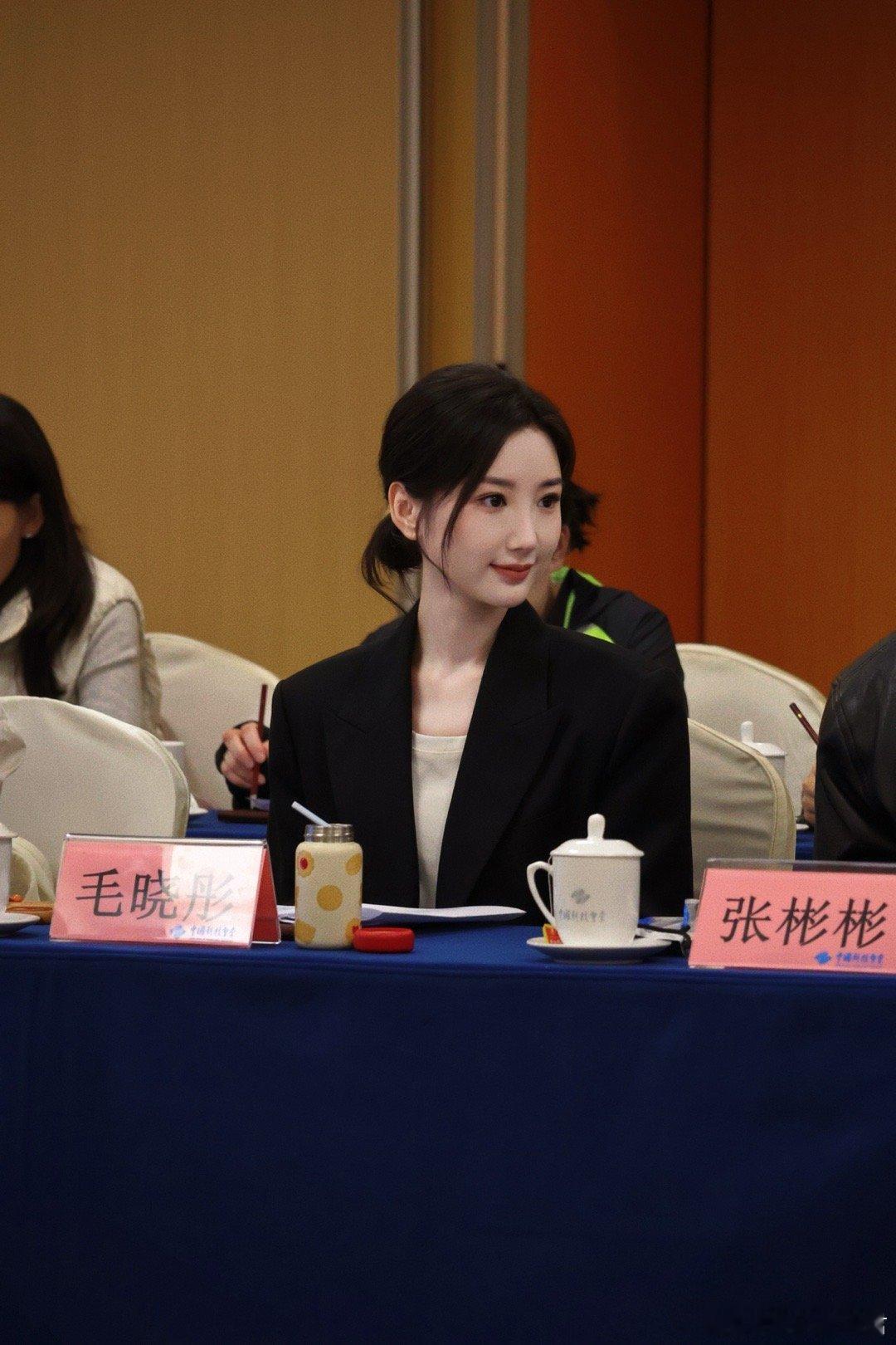 研讨会上的毛晓彤让人眼前一亮！挺拔的体态、自信的眼神，将职业女性的知性美与体制内