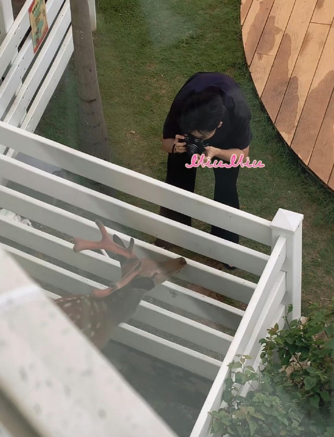 李现 小鹿🦌看看李现是不是在摆pose呀，李现看见小鹿🦌咔嚓个不停吧，俩宝贝