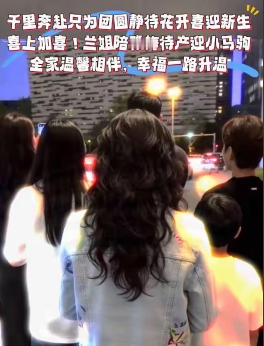 张兰已经到达湾湾见到了自己心心念念的孙儿们。马筱梅以自己的视角拍下了这个难忘的背