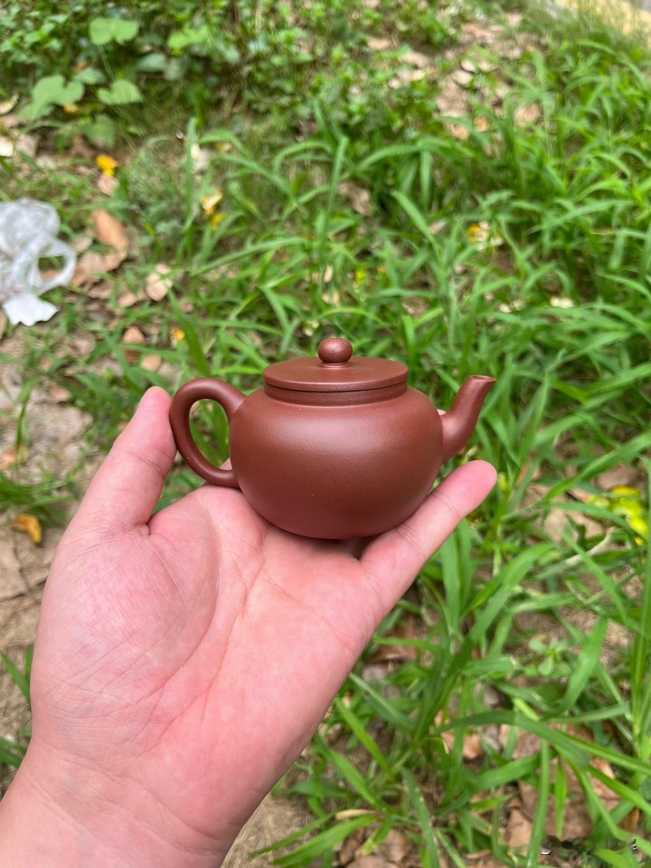 平盖莲子/160cc/原矿老紫泥
平盖莲子壶，大口，平盖，折肩，三弯流，内推空。