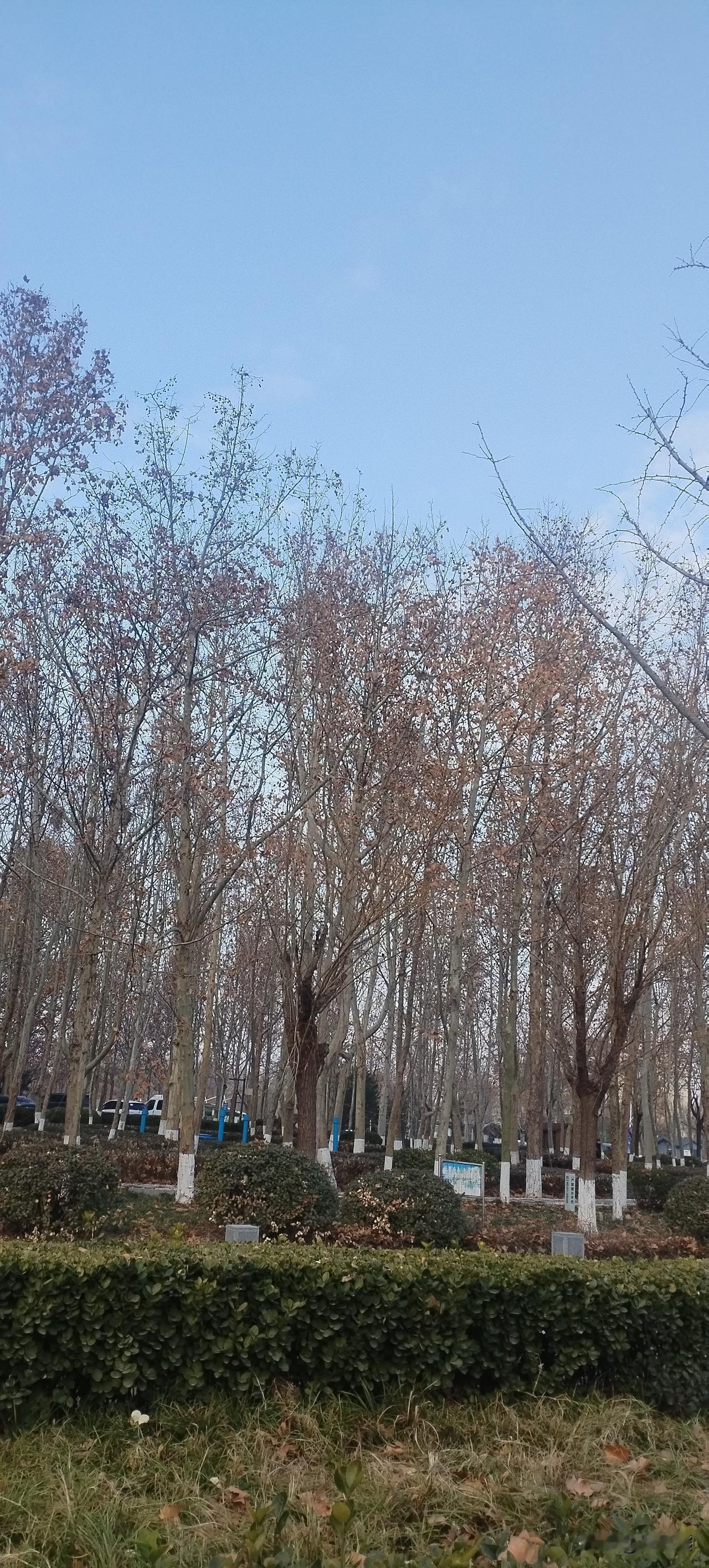 稀里糊涂的过了几十年，突然知道了一些事情。
以前看电视剧里穿汉服的，以为是唱戏的