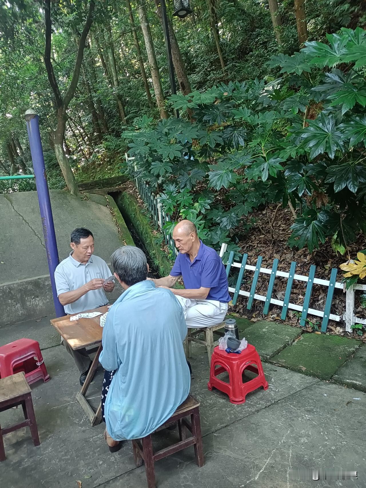 2026年7月23日，阳光灿烂。上午去了僻暑山桩和几个朋友打牌。不知不却就过了一