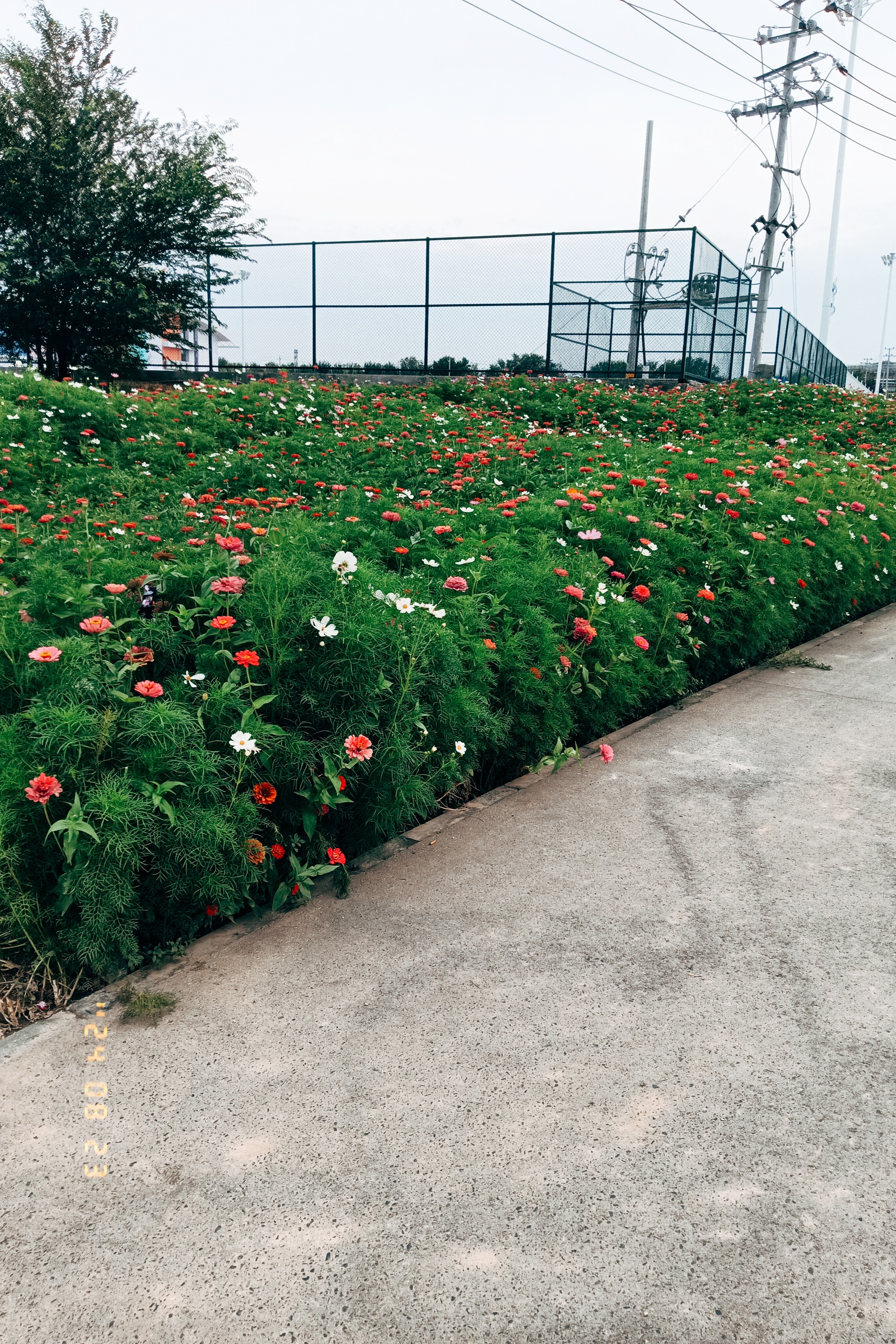 人生最珍贵的六种财富：一是洋溢在容颜上的自信，二是融化在血液里的骨气，三是打造进