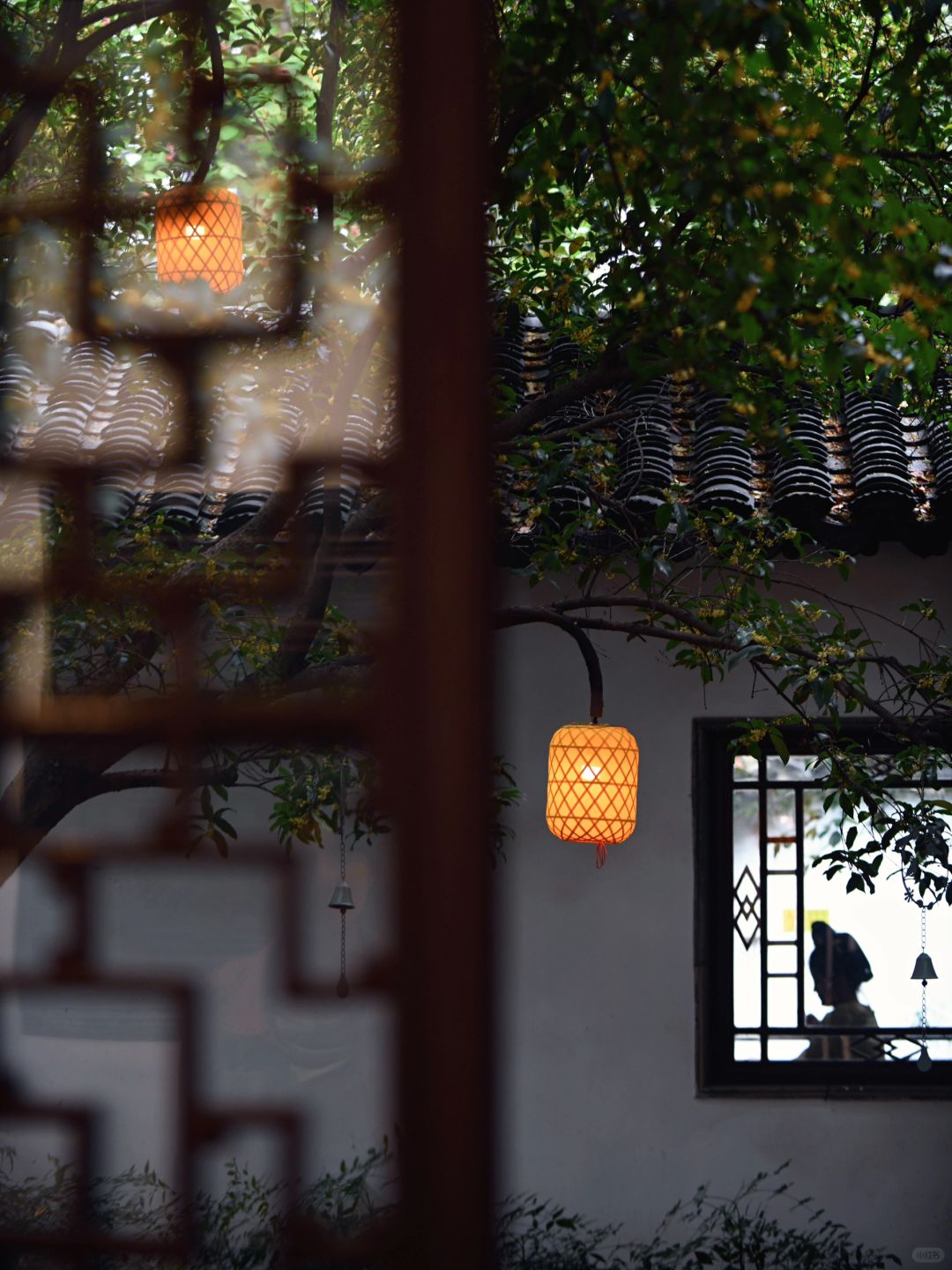 南京瞻园｜人闲桂花落，满身都是秋