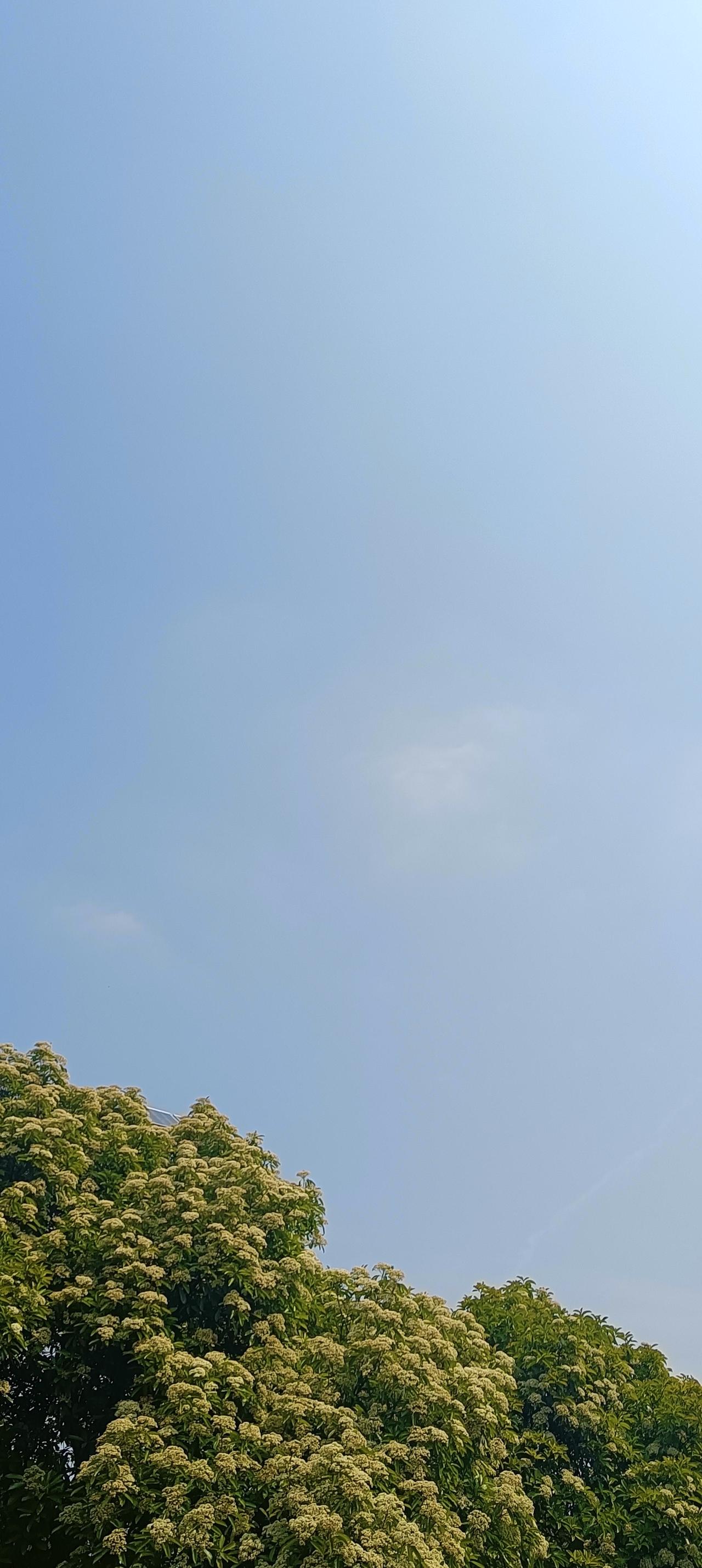 在感情中，越不怕失去的人，往往才越不容易失去
曾经，我也是个在感情中患得患失，很