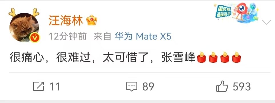 汪海林发文悼念张雪峰汪海林悼念张雪峰汪海林悼念张雪峰 