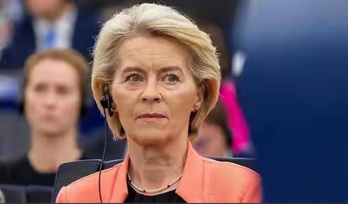 英法德等11国反对,七国联合行动,冯德莱恩公开警告