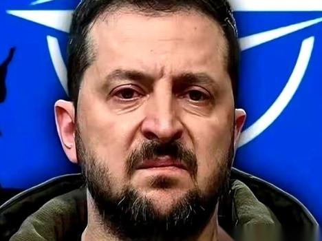 妈呀，一千万，一个国家，战前 4300 万人，几年打下来，活生生就少了小一千万。