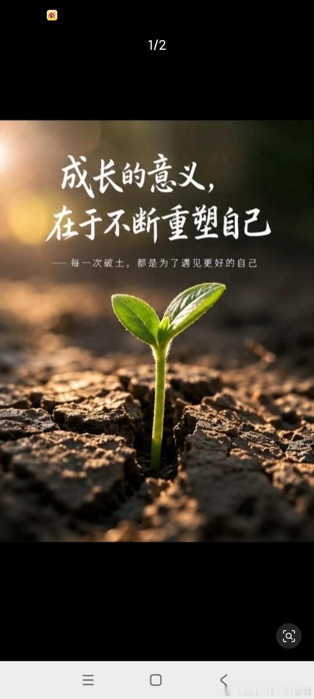 你不用那么优秀，拿得出手就行。有干劲满满的事业，有光明正大的爱情，有一二精致的喜