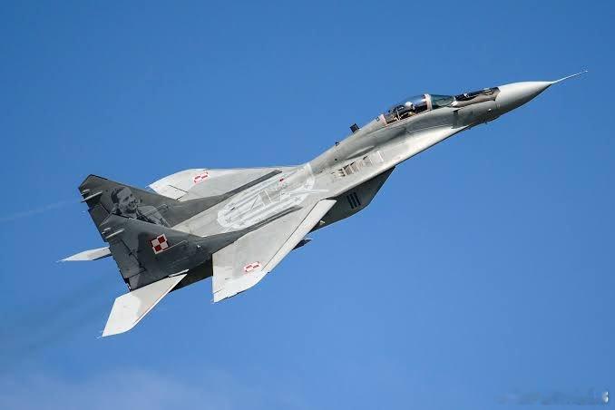 乌克兰和波兰将共同致力于米格-29飞机的现代化改造，——乌克兰国防部长米哈伊洛·