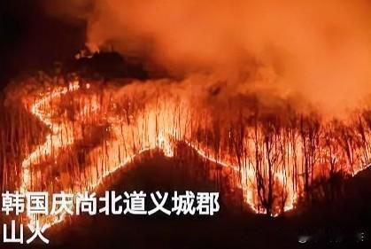 韩国庆尚北道那边这次真是倒了大霉，大火又烧起来了。

10号下午3点多，义城郡的