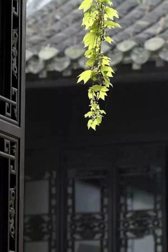 素食则气不浊；独宿则神不浊；默坐则心不浊；读书则口不浊。——曾国藩 